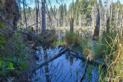 20 Acres SW Hunter Road , Port Orchard, WA 98367 - Photo 5