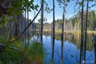 20 Acres SW Hunter Road , Port Orchard, WA 98367 - Photo 7
