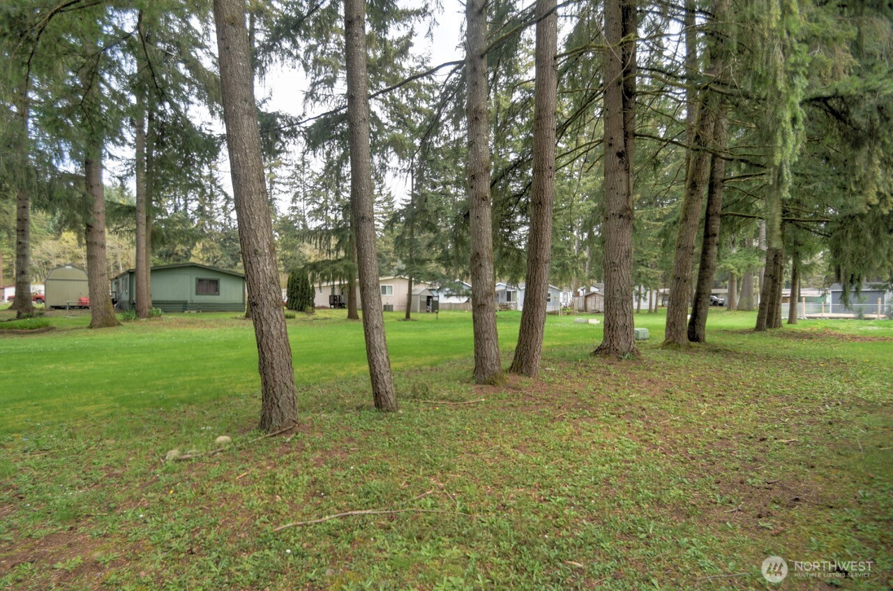 17340 Sargent Road SW #15, Rochester, WA 98579