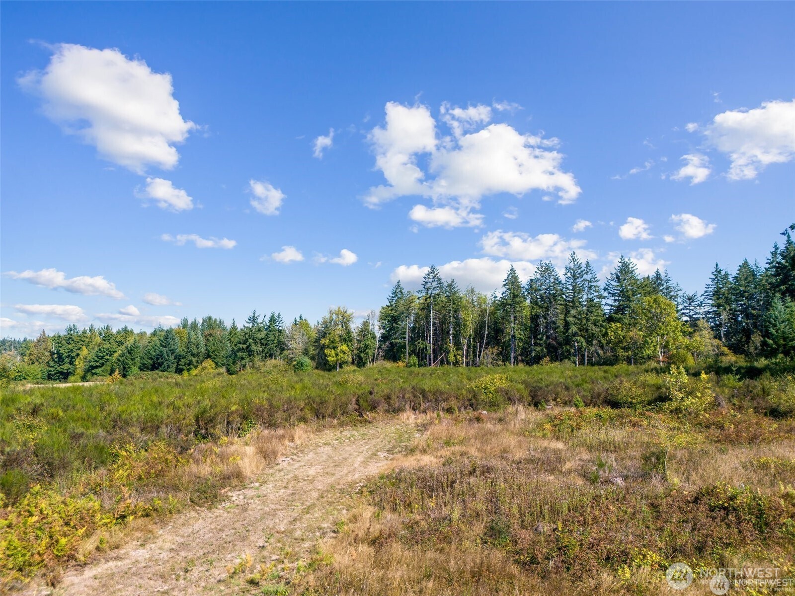 0 Koontz Road , Napavine, WA 98565