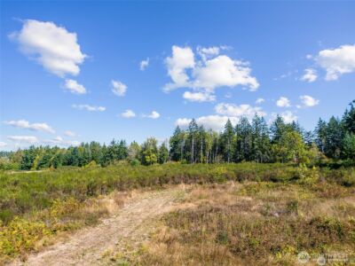 0 Koontz Road , Napavine, WA 98565 - Photo 12