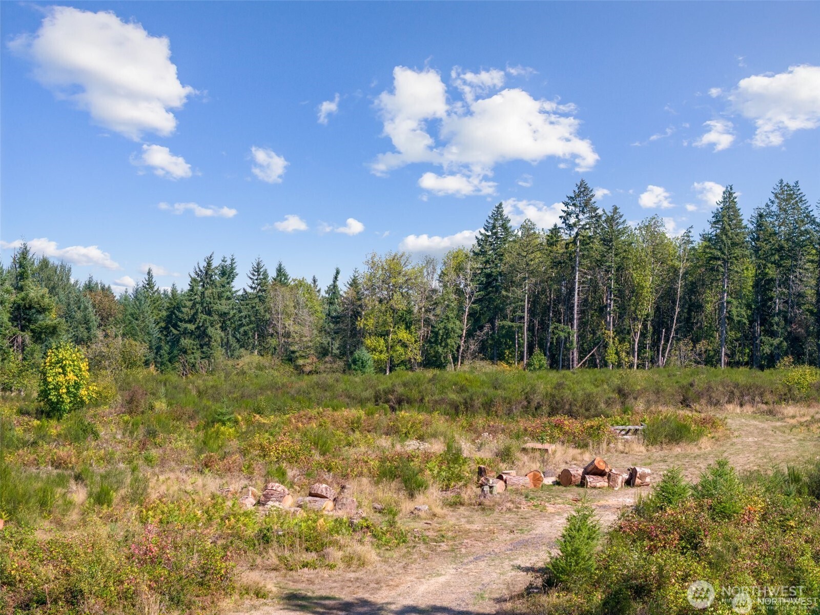 0 Koontz Road , Napavine, WA 98565