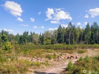 0 Koontz Road , Napavine, WA 98565 - Photo 15