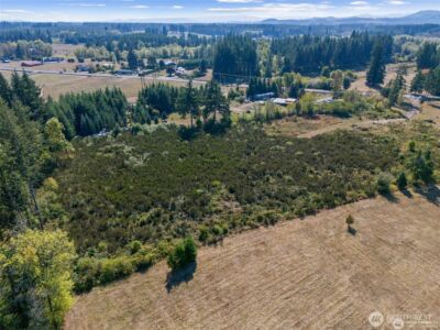 0 Koontz Road , Napavine, WA 98565 - Photo 10