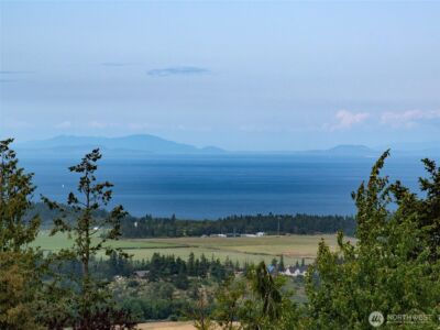 412 Doe Run Road , Sequim, WA 98382 - Photo 2