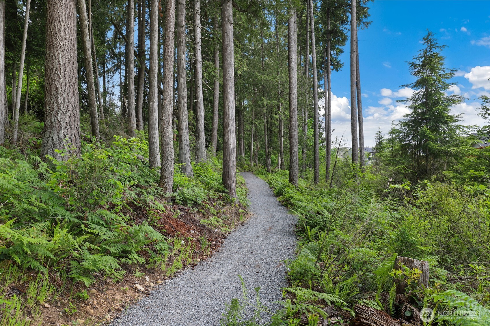 12976 186th Avenue E, Bonney Lake, WA 98391