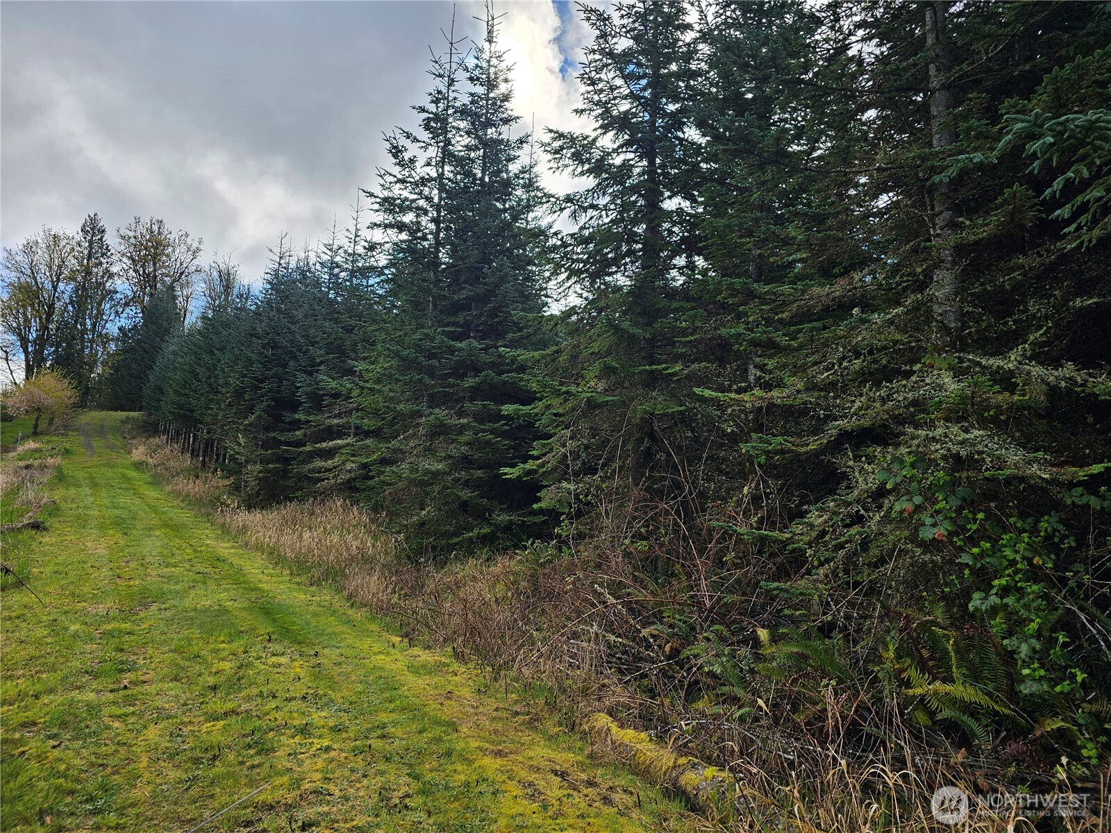 0 Birley Rd , Mossyrock, WA 98564