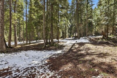 750 Big Horn Way , Cle Elum, WA 98922 - Photo 29