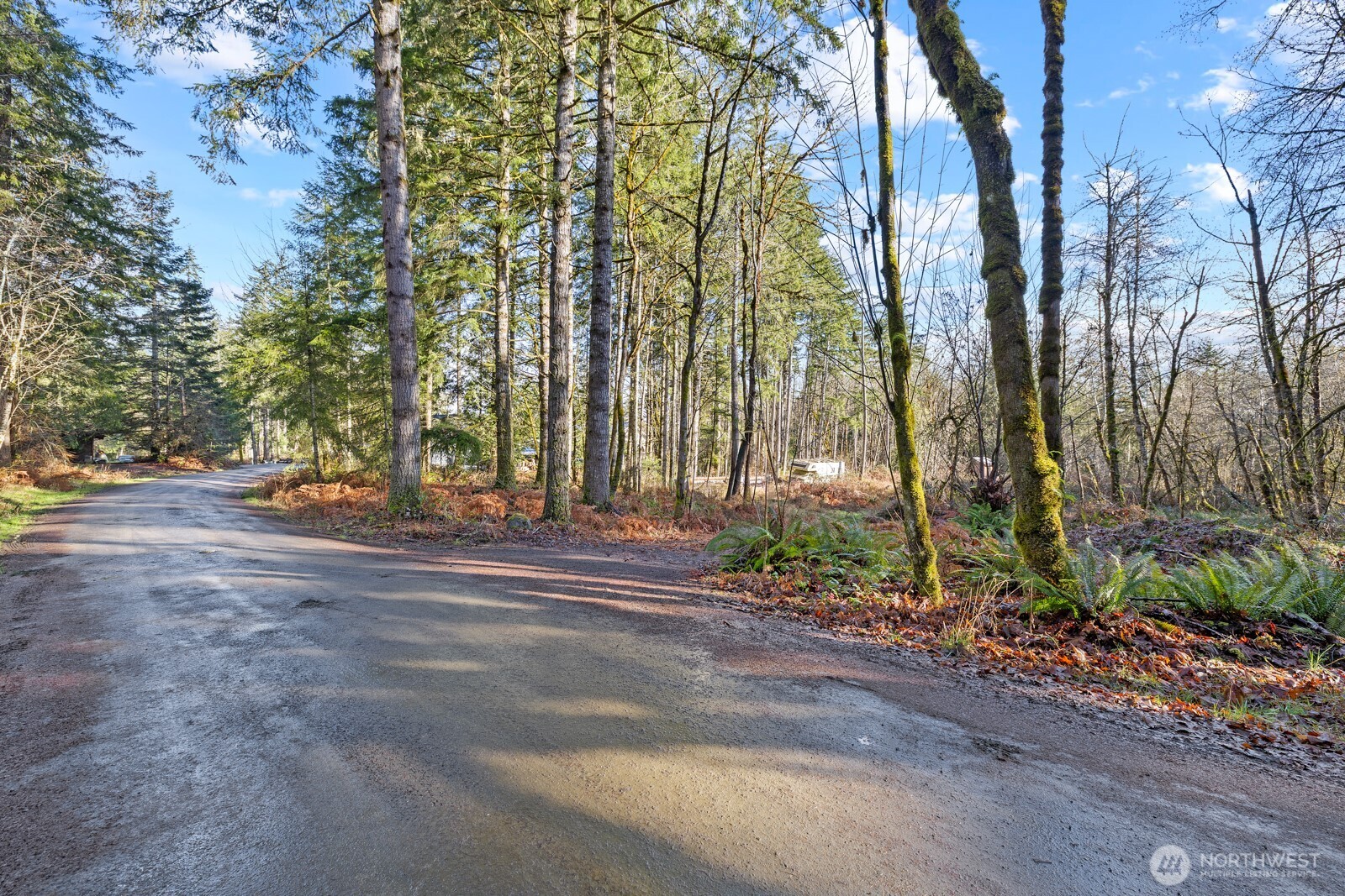 60 SE Mable Taylor Lane , Shelton, WA 98584