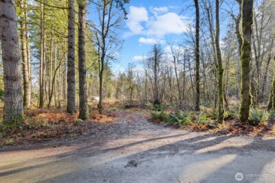 60 SE Mable Taylor Lane , Shelton, WA 98584 - Photo 2