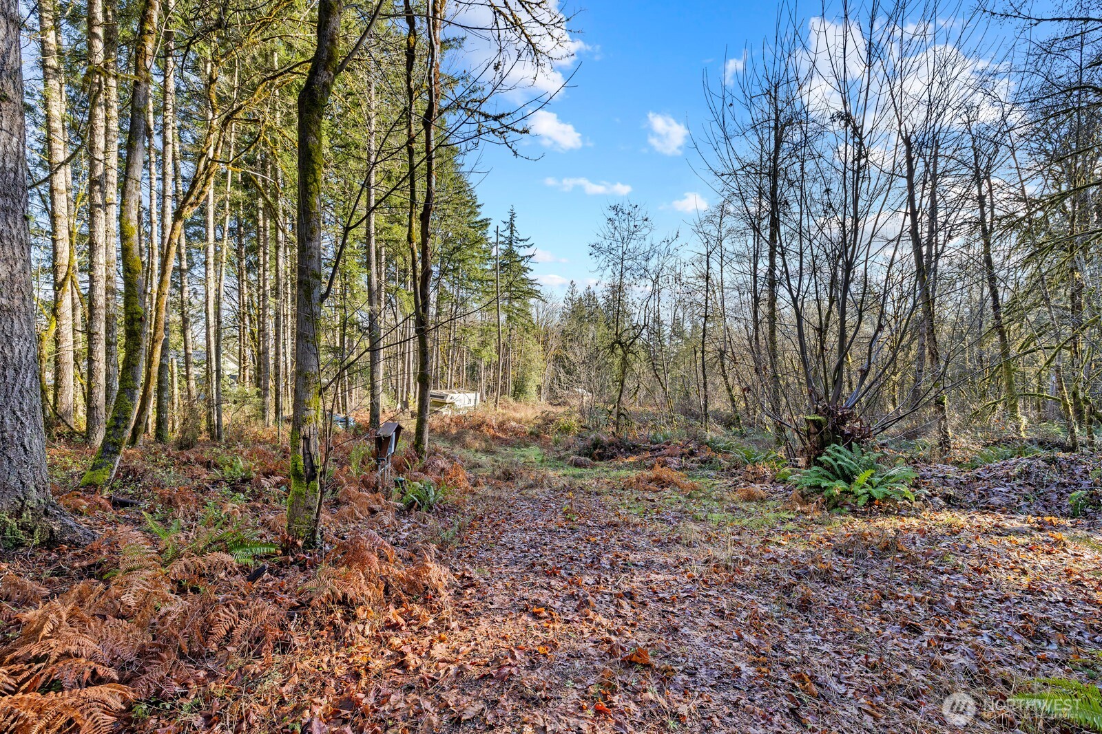 60 SE Mable Taylor Lane , Shelton, WA 98584