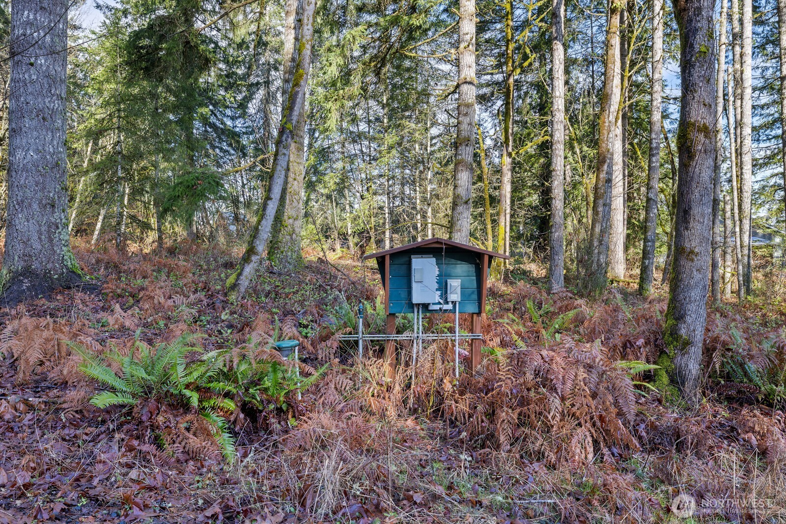 60 SE Mable Taylor Lane , Shelton, WA 98584
