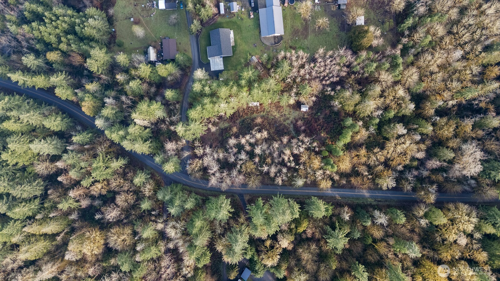 60 SE Mable Taylor Lane , Shelton, WA 98584