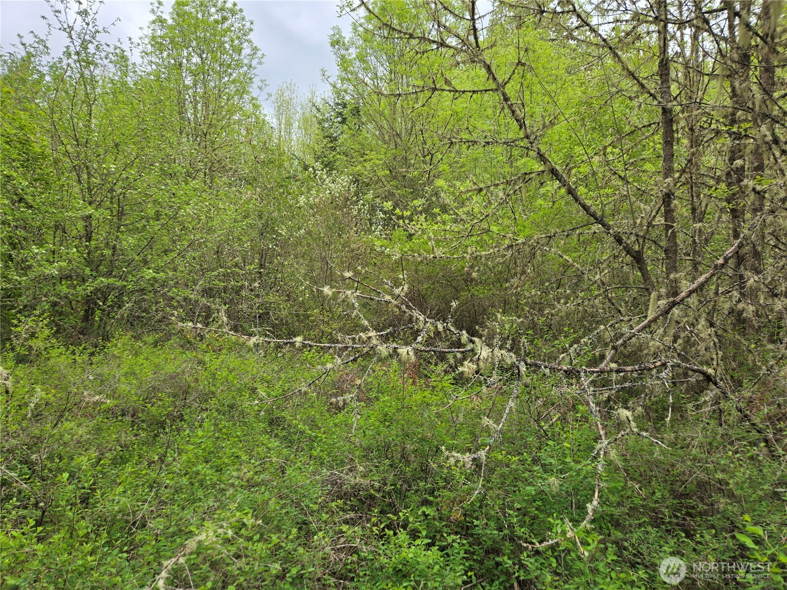 5102 Harts Lake Road S, Roy, WA 98580