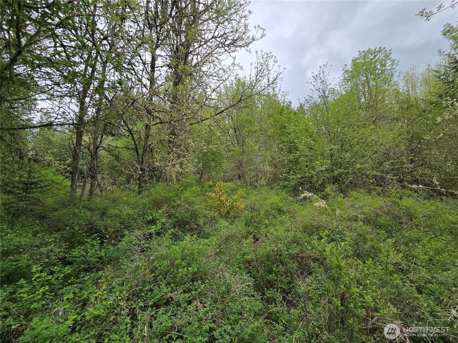 5102 Harts Lake Road S, Roy, WA 98580