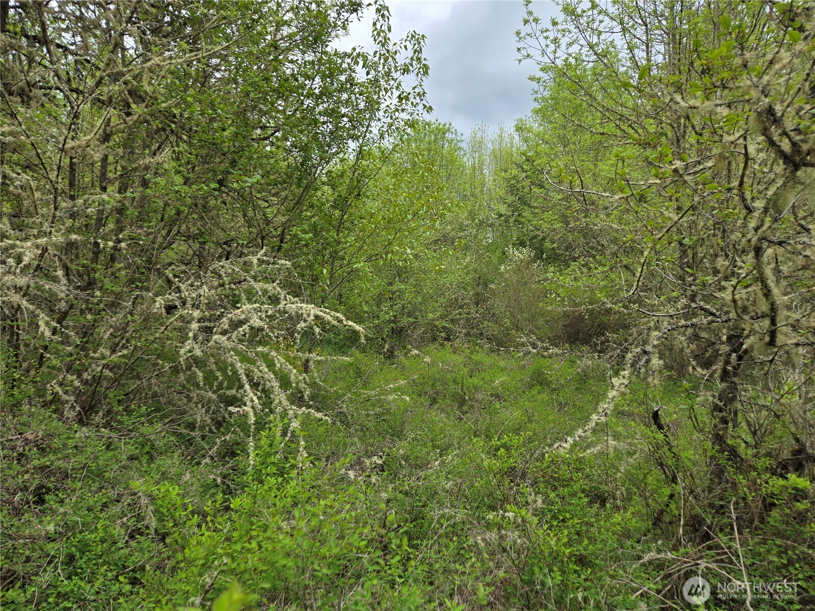 5102 Harts Lake Road S, Roy, WA 98580