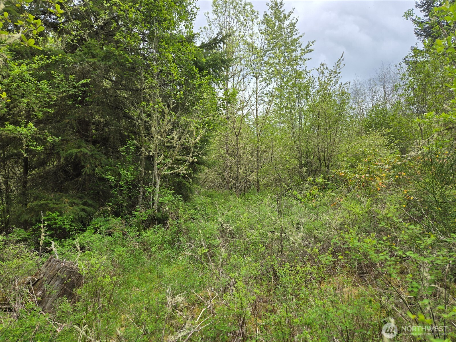 5102 Harts Lake Road S, Roy, WA 98580