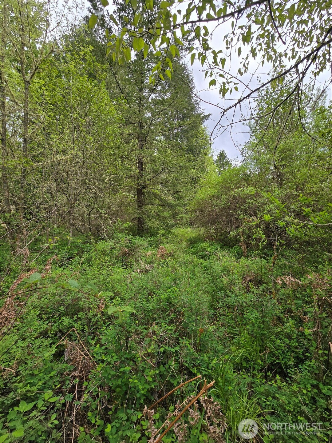 5102 Harts Lake Road S, Roy, WA 98580