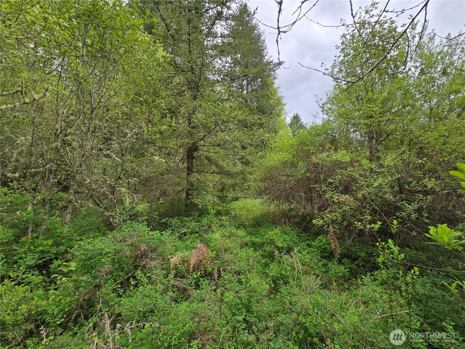 5102 Harts Lake Road S, Roy, WA 98580