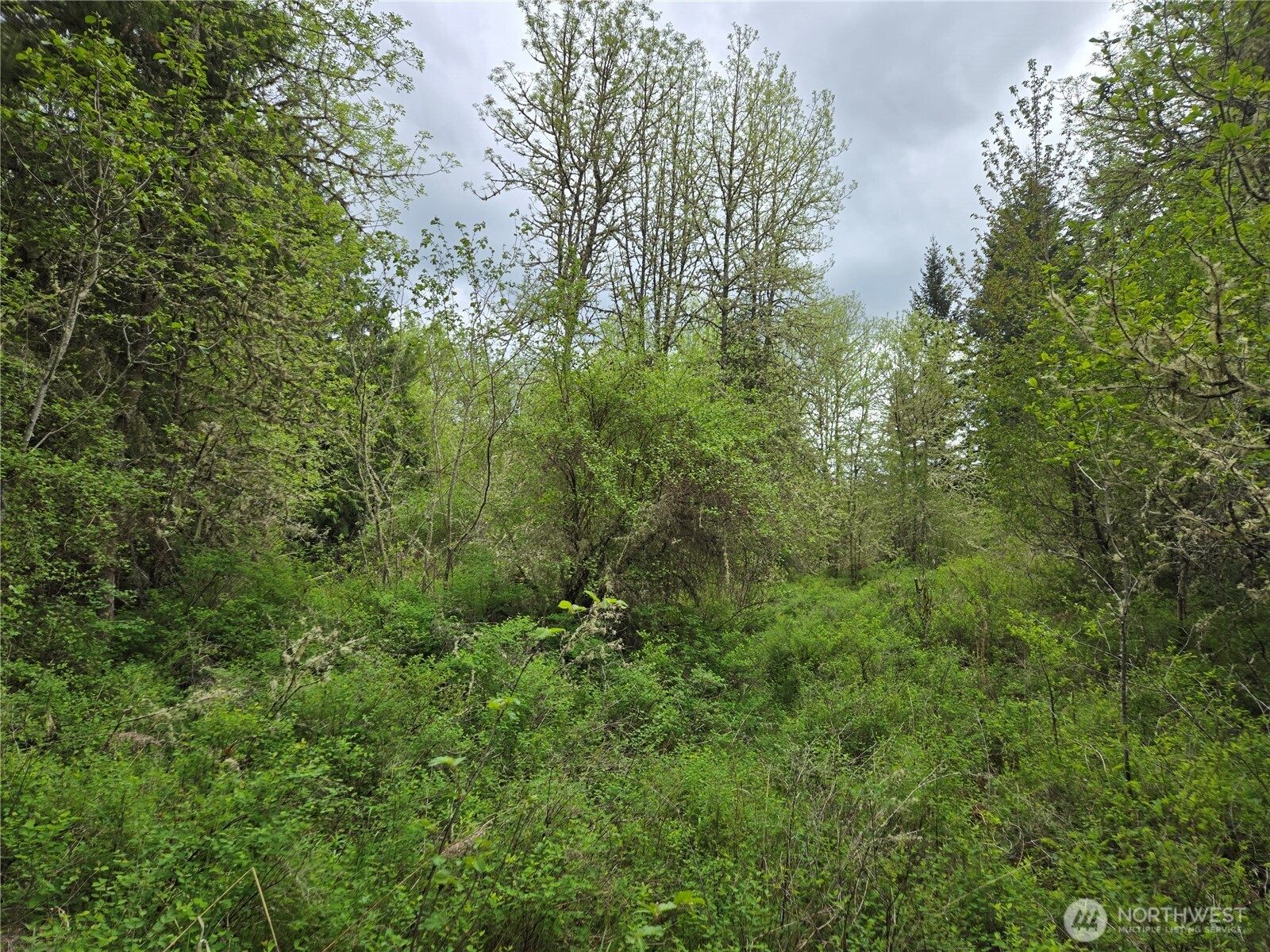 5102 Harts Lake Road S, Roy, WA 98580