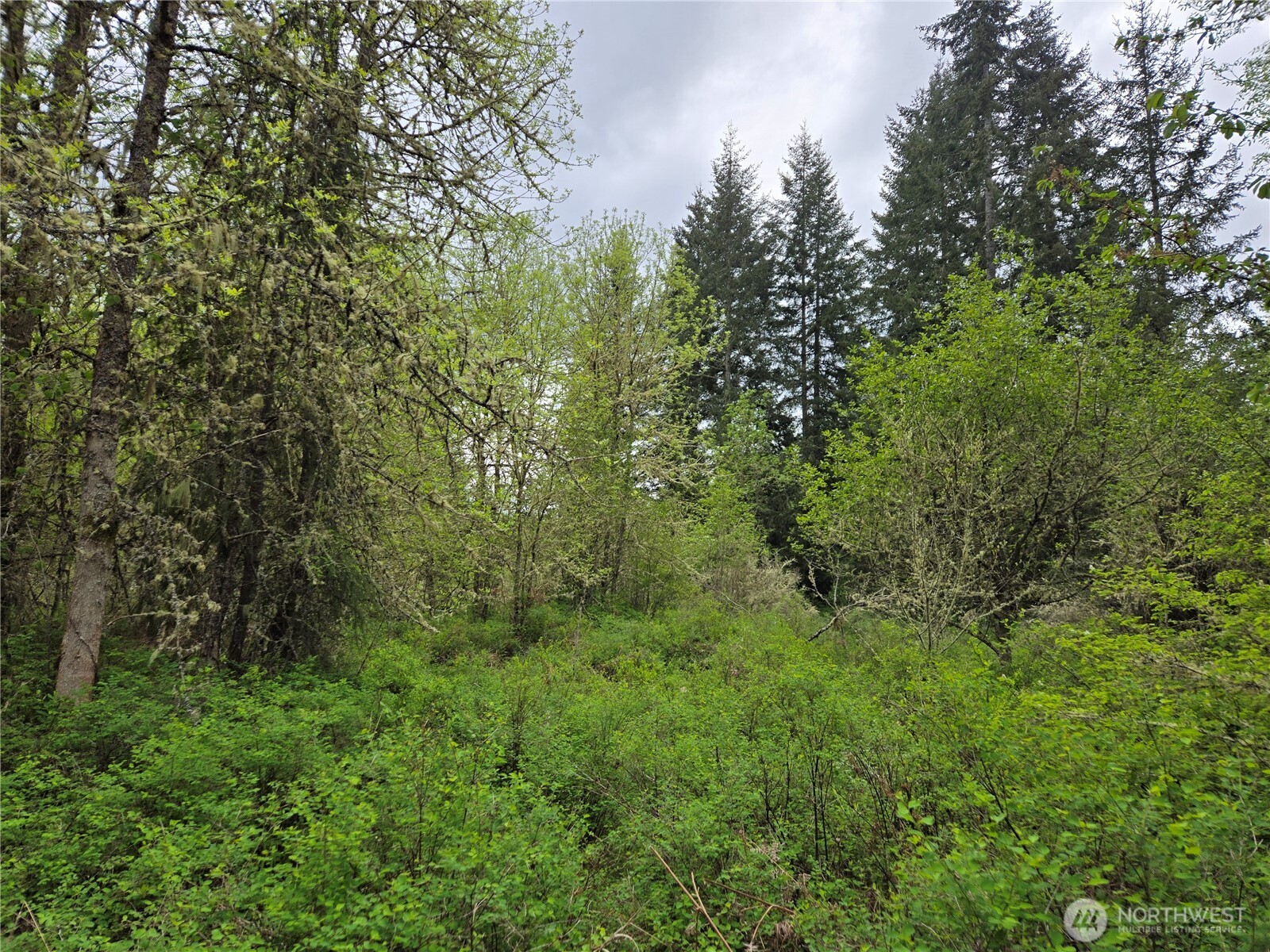 5102 Harts Lake Road S, Roy, WA 98580