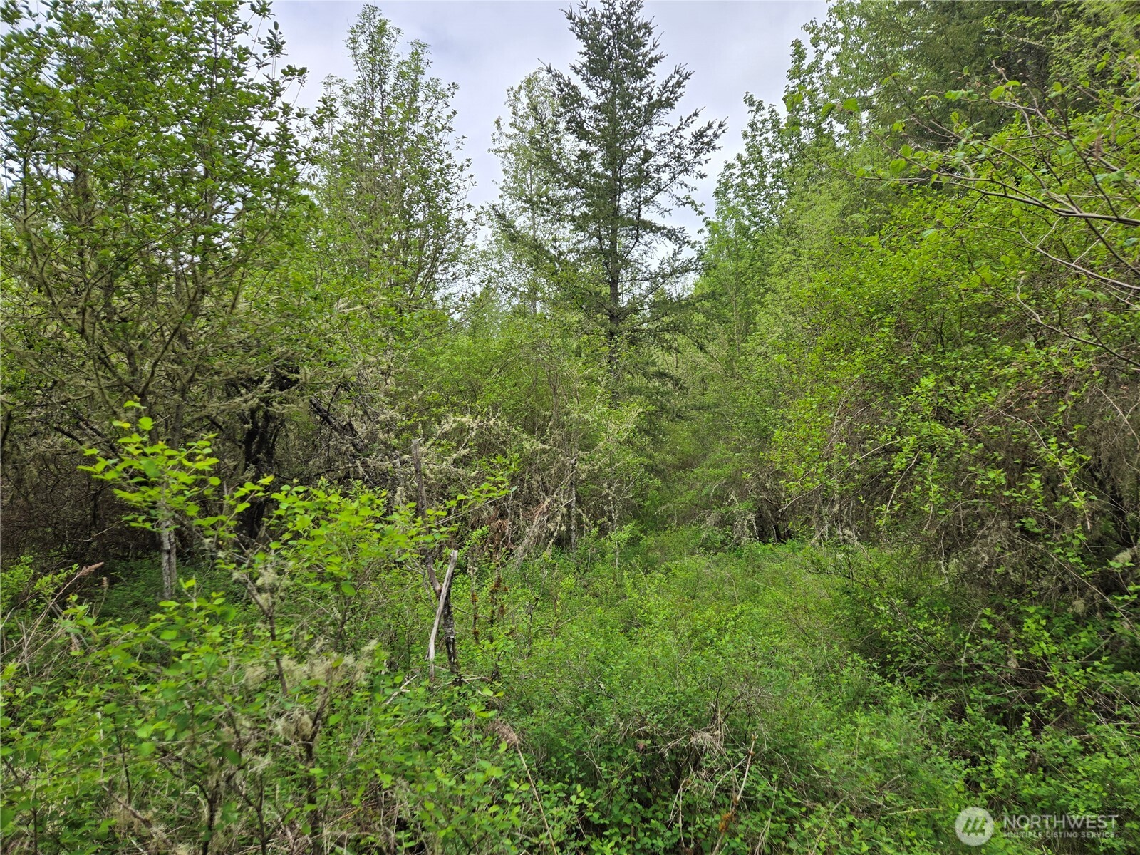 5102 Harts Lake Road S, Roy, WA 98580