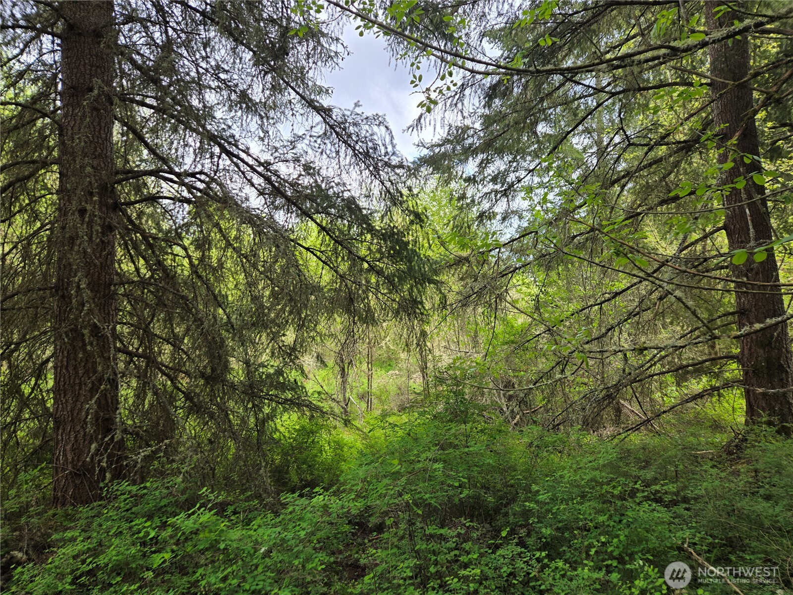 5102 Harts Lake Road S, Roy, WA 98580
