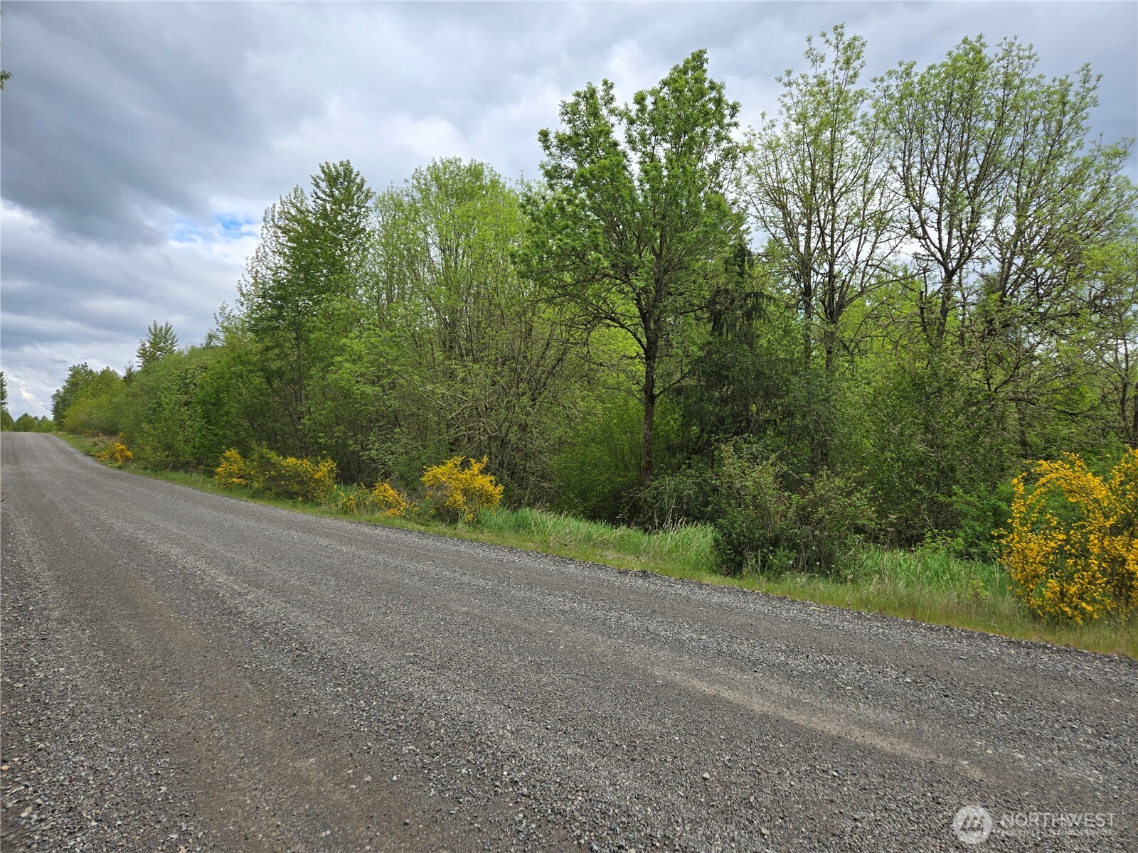 5102 Harts Lake Road S, Roy, WA 98580