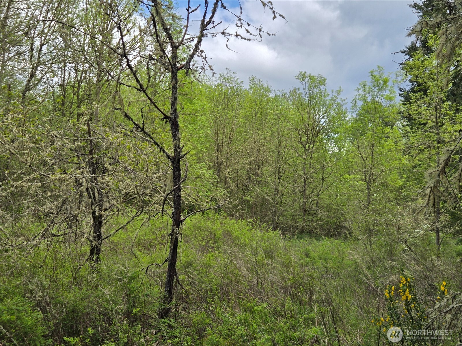 5102 Harts Lake Road S, Roy, WA 98580