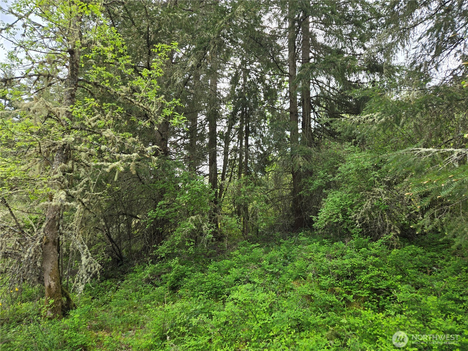 5102 Harts Lake Road S, Roy, WA 98580