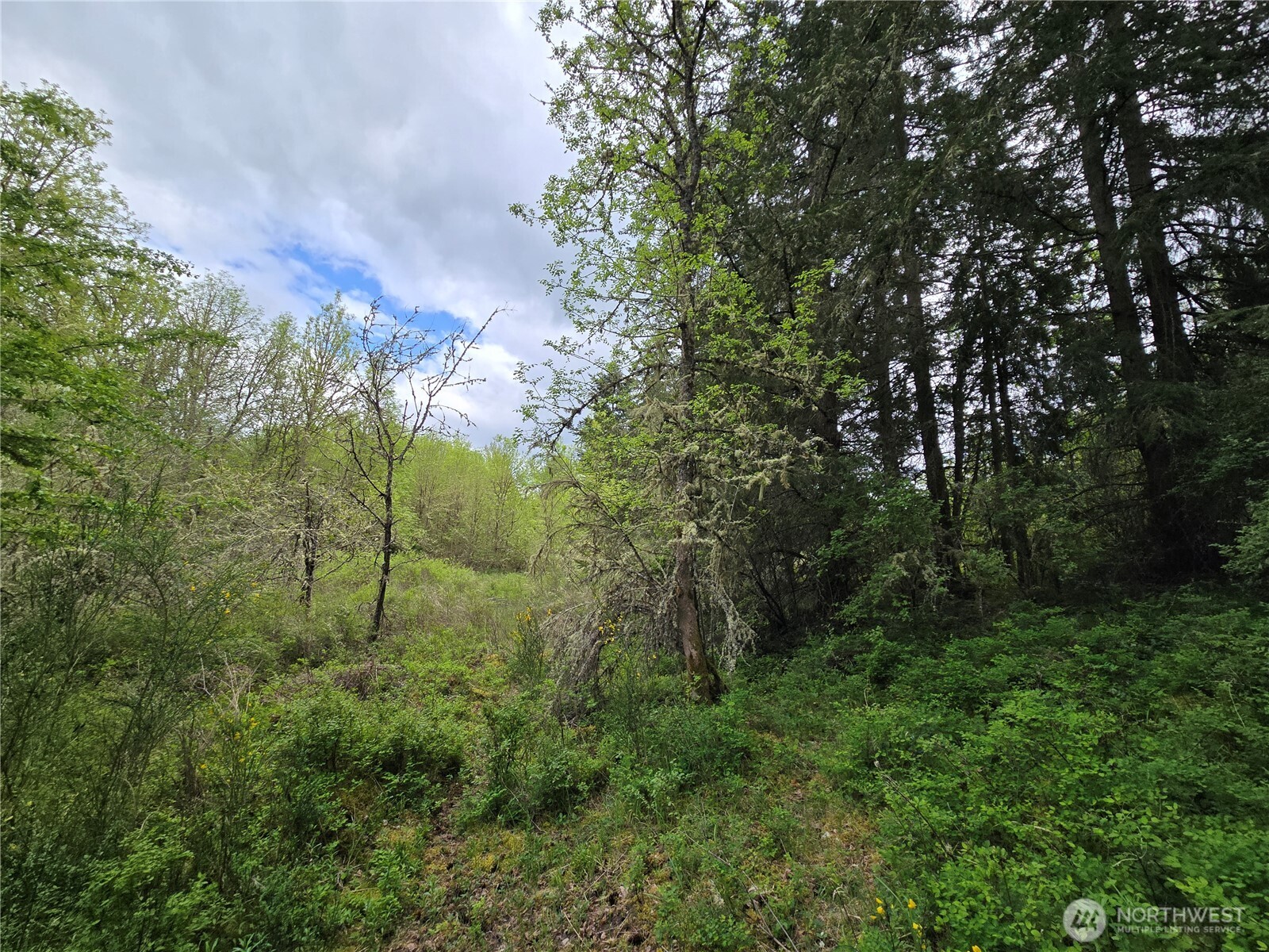 5102 Harts Lake Road S, Roy, WA 98580