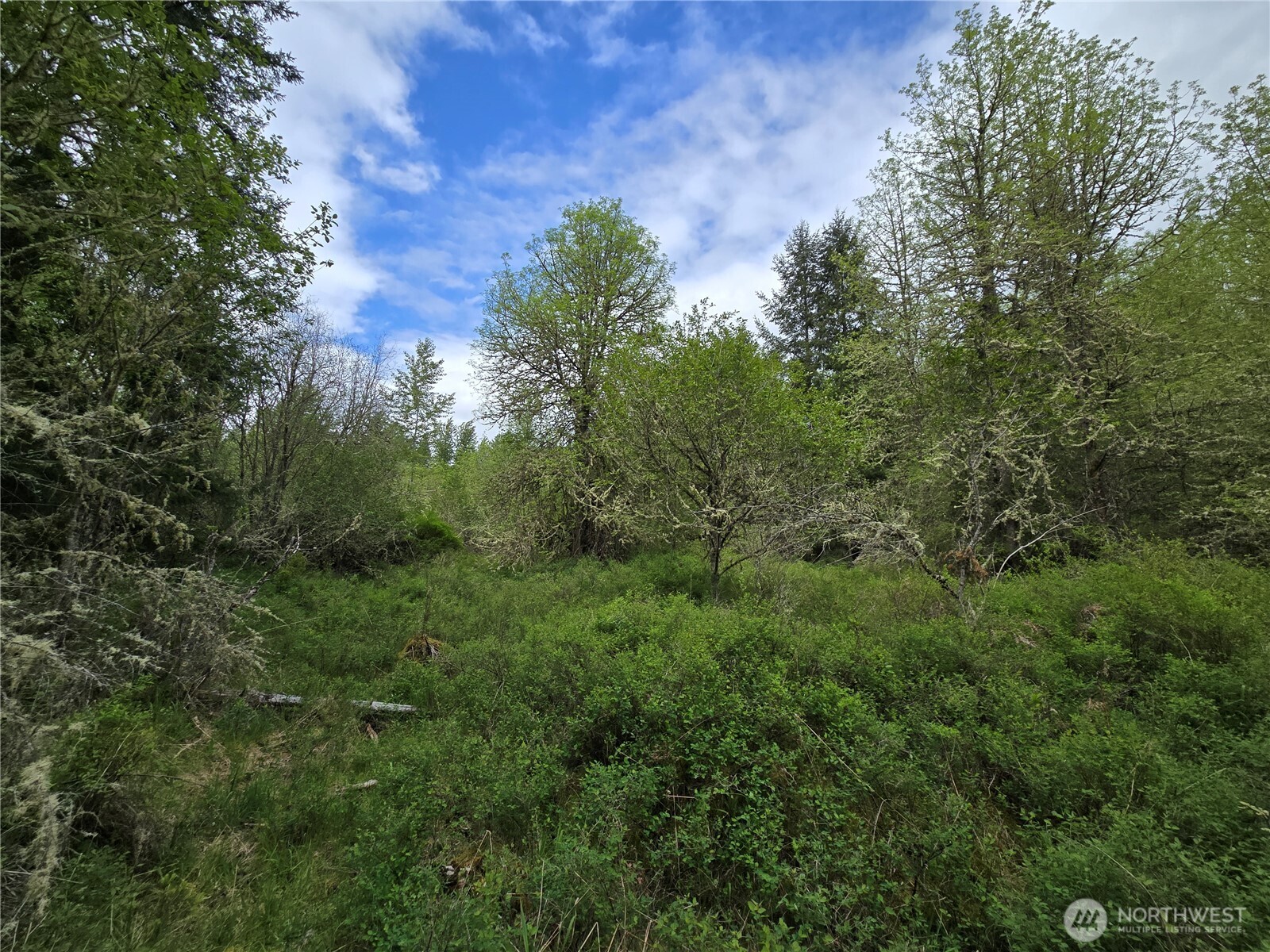 5102 Harts Lake Road S, Roy, WA 98580