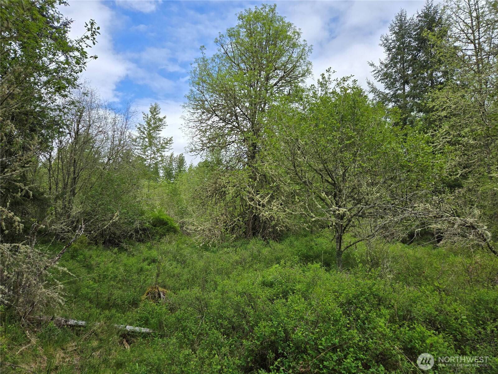 5102 Harts Lake Road S, Roy, WA 98580
