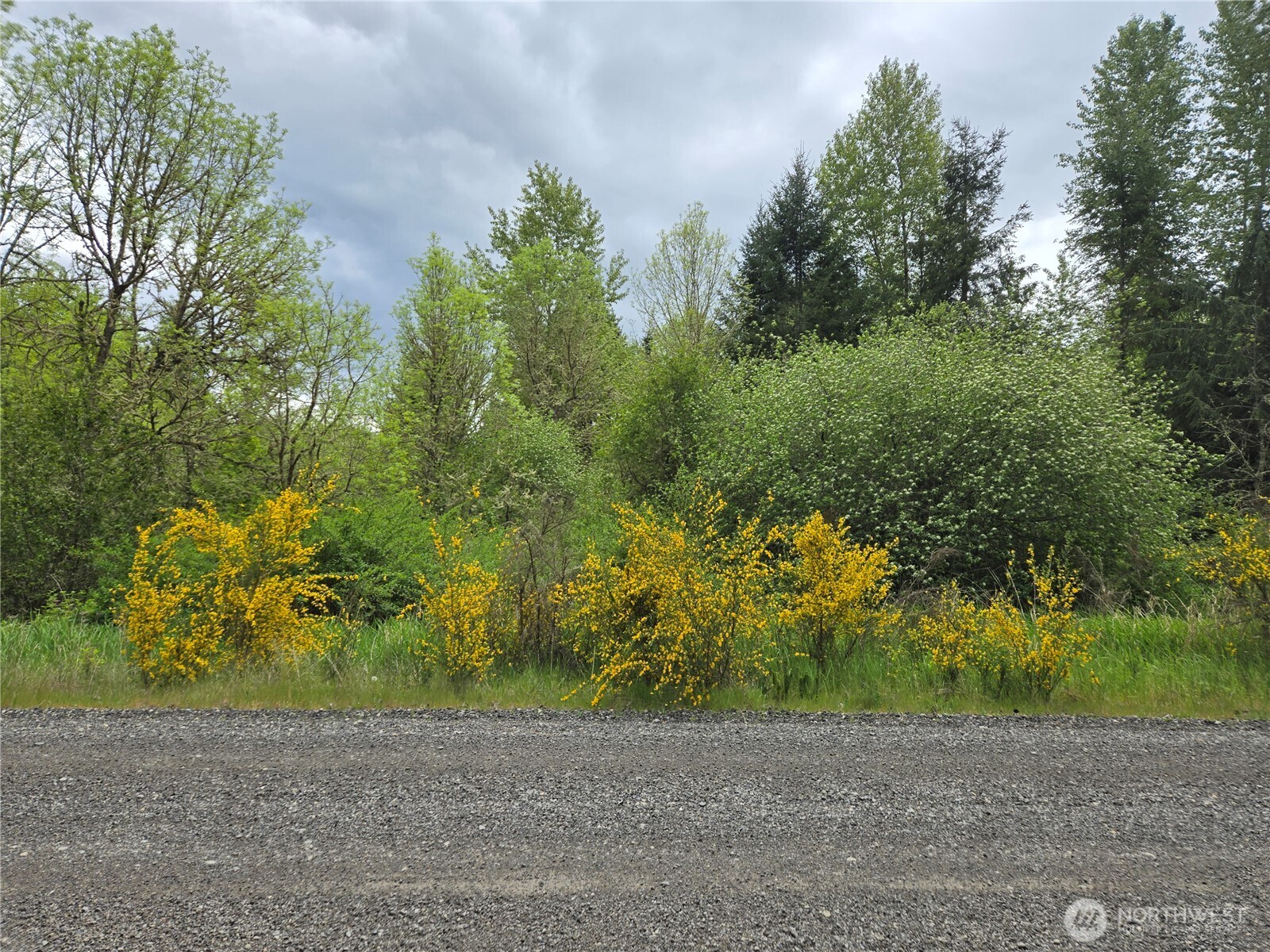 5102 Harts Lake Road S, Roy, WA 98580