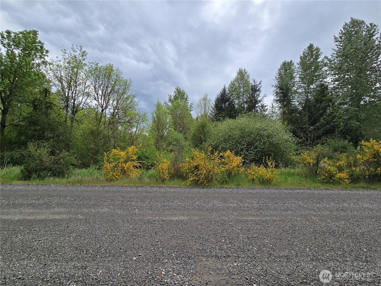 5102 Harts Lake Road S, Roy, WA 98580