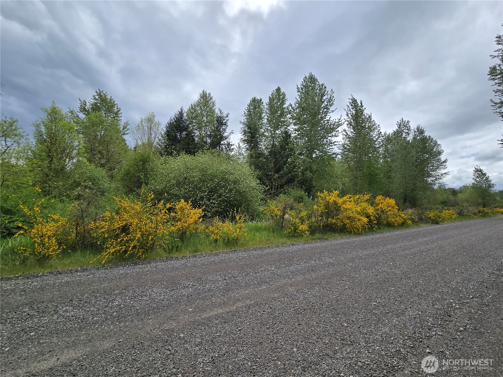 5102 Harts Lake Road S, Roy, WA 98580