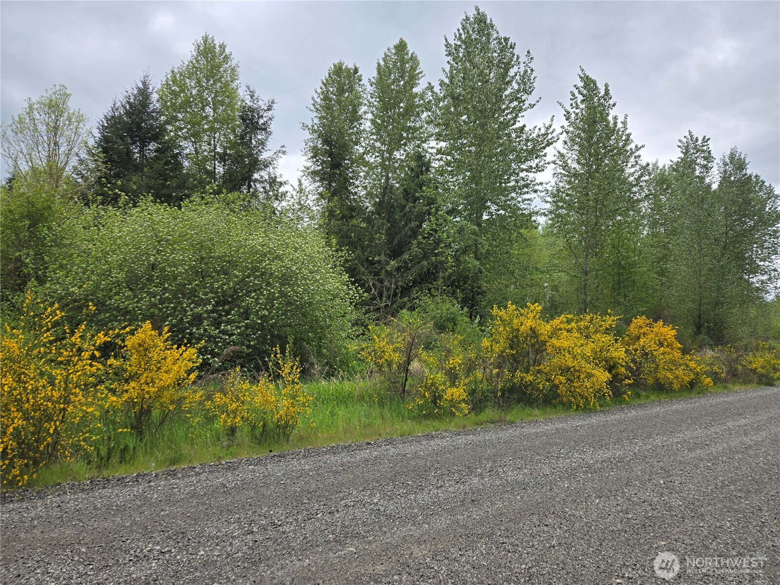 5102 Harts Lake Road S, Roy, WA 98580