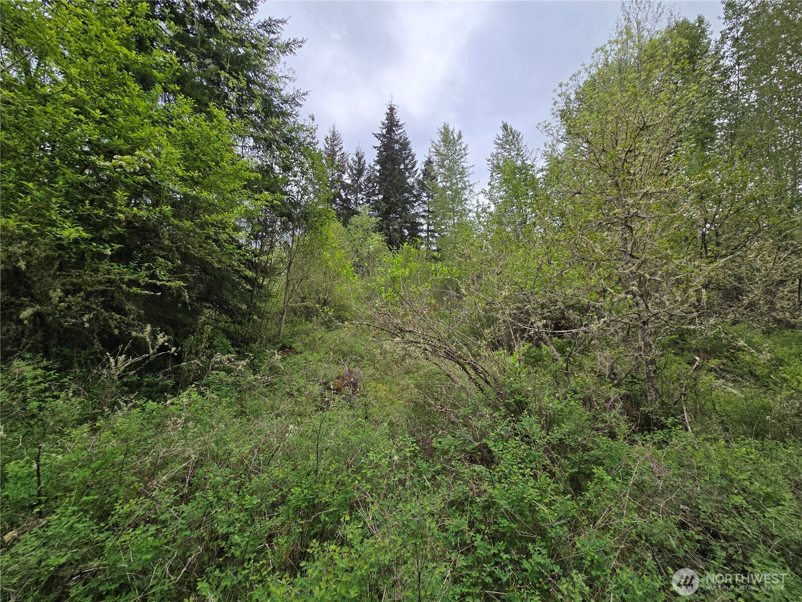 5102 Harts Lake Road S, Roy, WA 98580