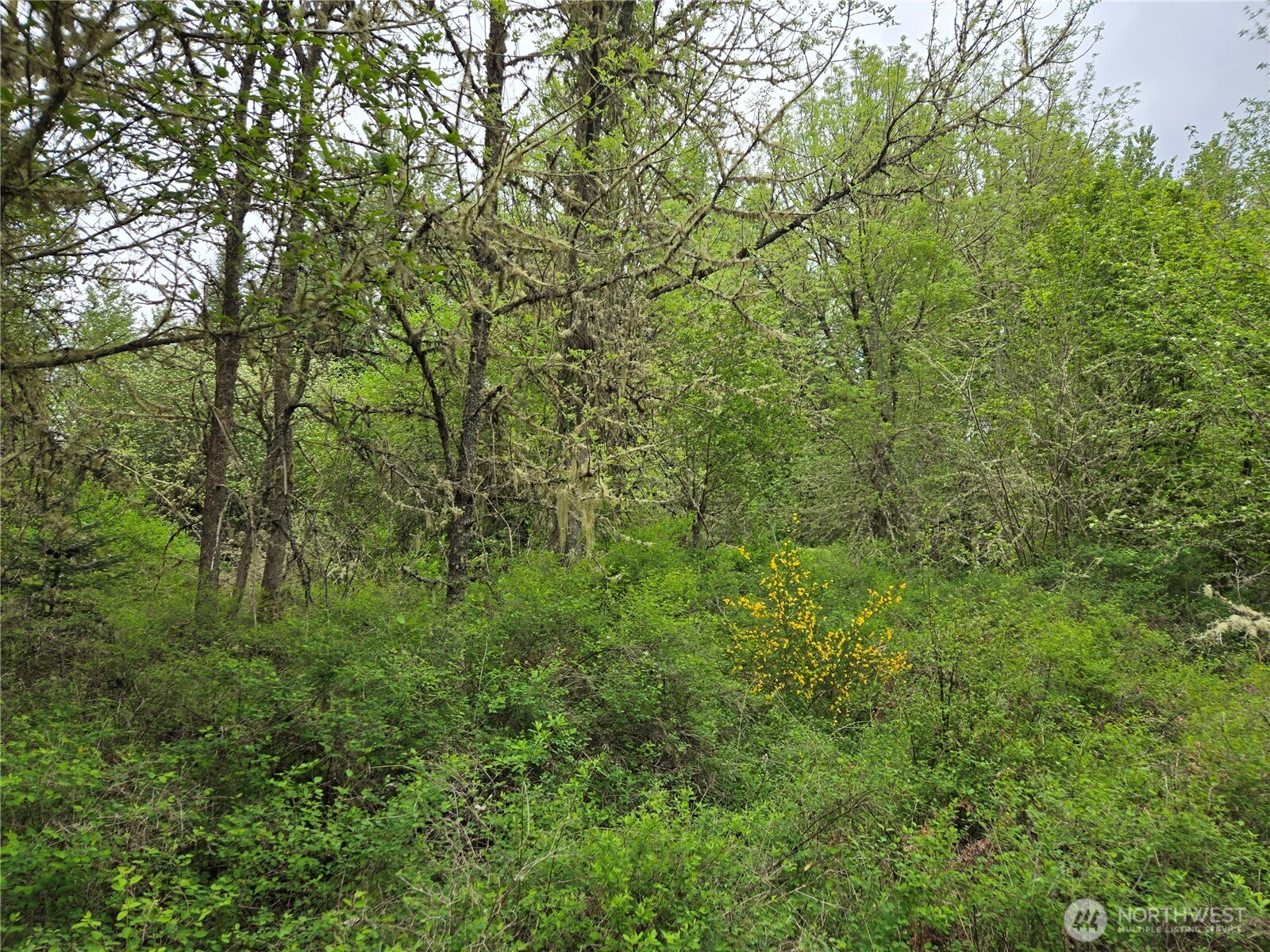 5102 Harts Lake Road S, Roy, WA 98580