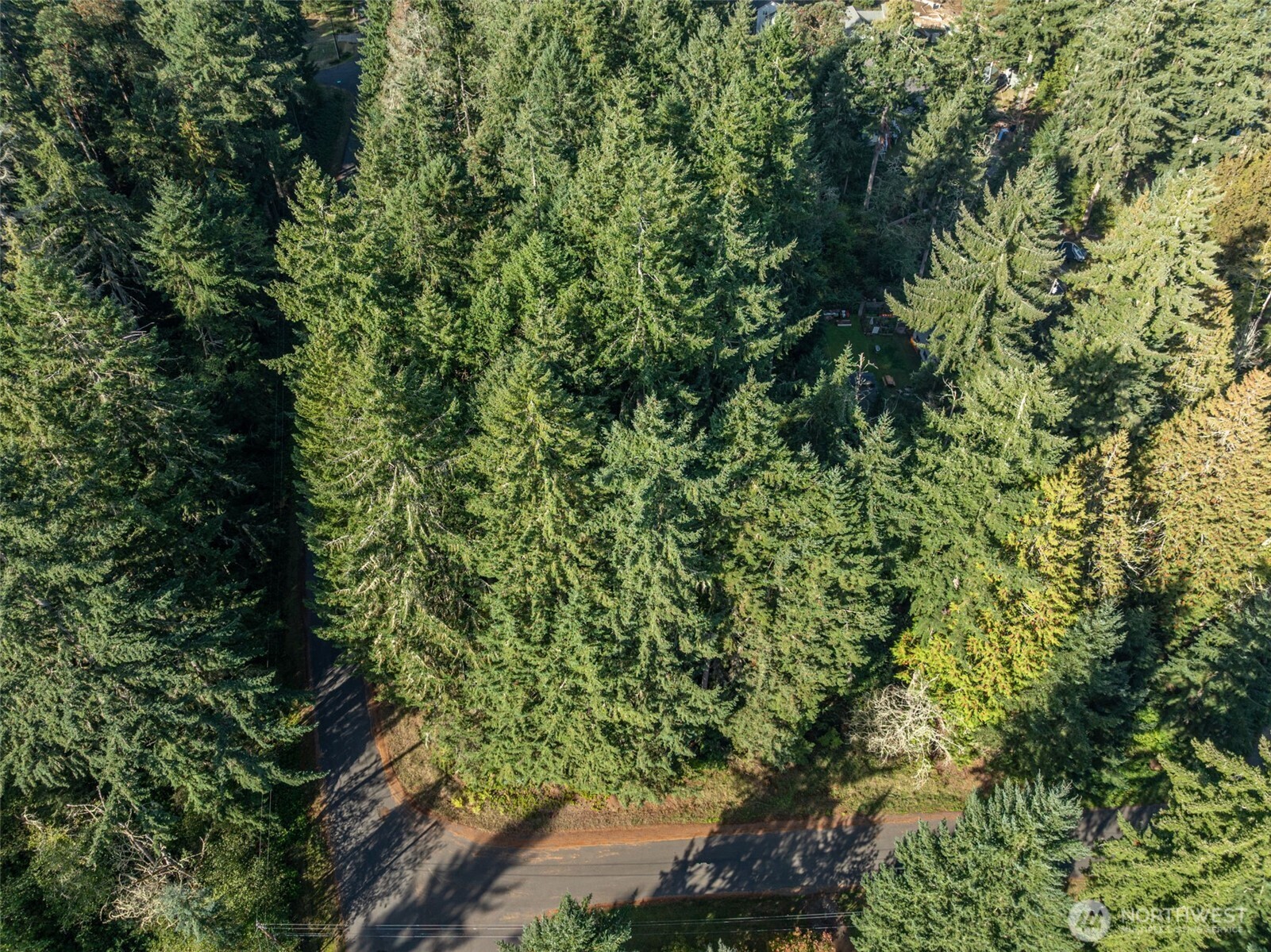 10102 104th Avenue , Anderson Island, WA 98303