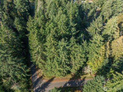 10102 104th Avenue , Anderson Island, WA 98303 - Photo 1