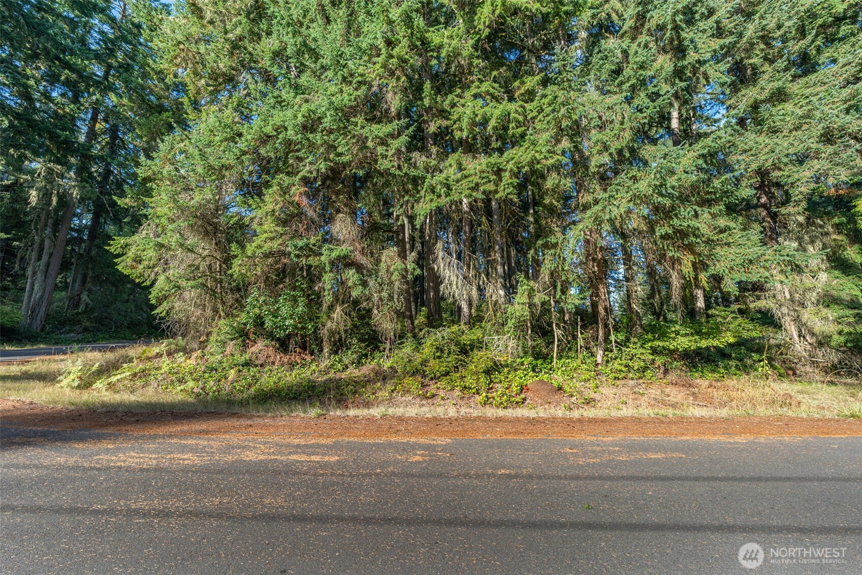 10102 104th Avenue , Anderson Island, WA 98303