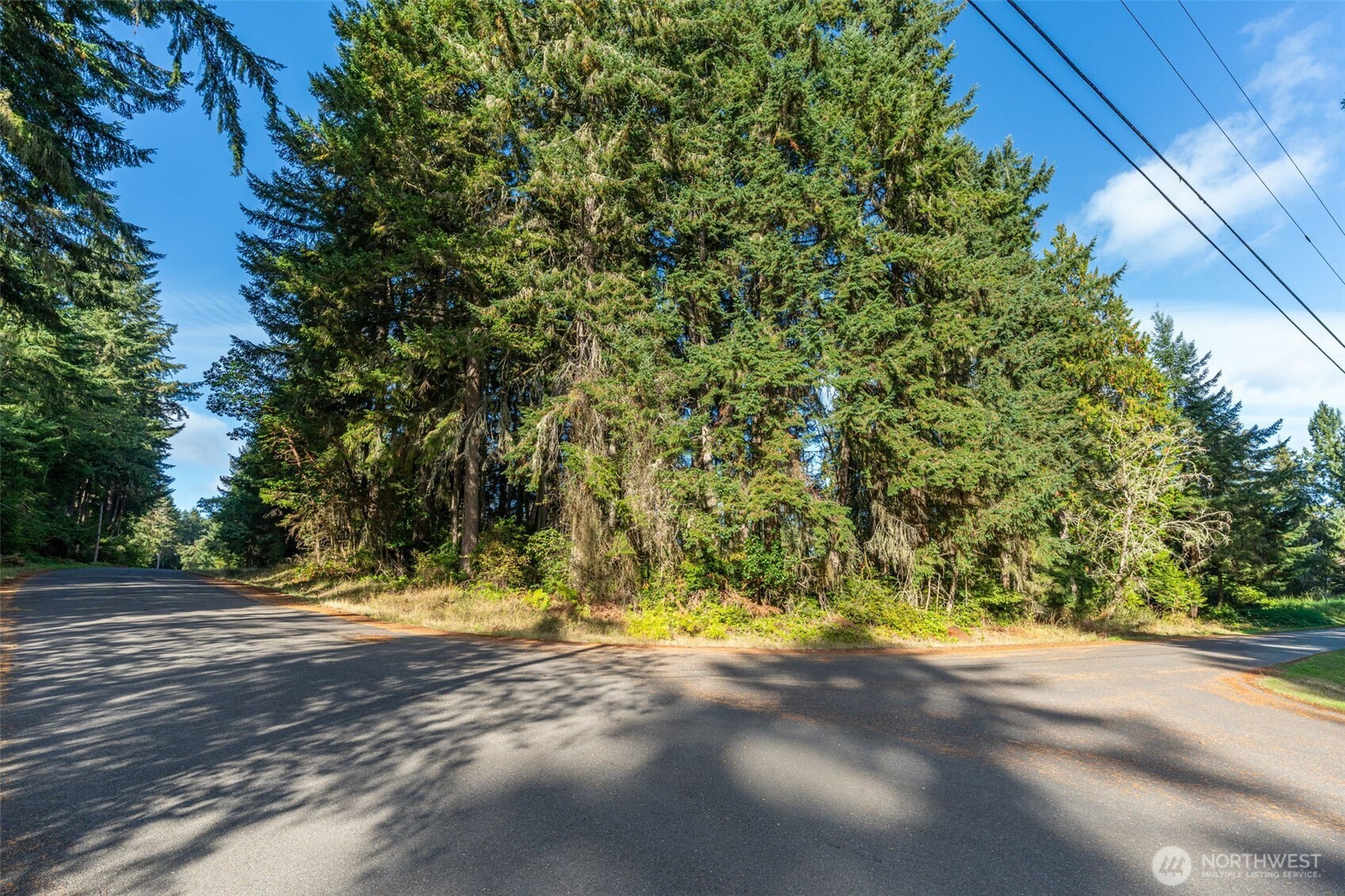 10102 104th Avenue , Anderson Island, WA 98303