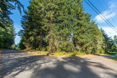 10102 104th Avenue , Anderson Island, WA 98303 - Photo 3