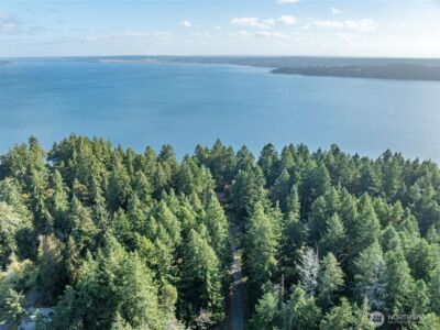 10102 104th Avenue , Anderson Island, WA 98303 - Photo 4