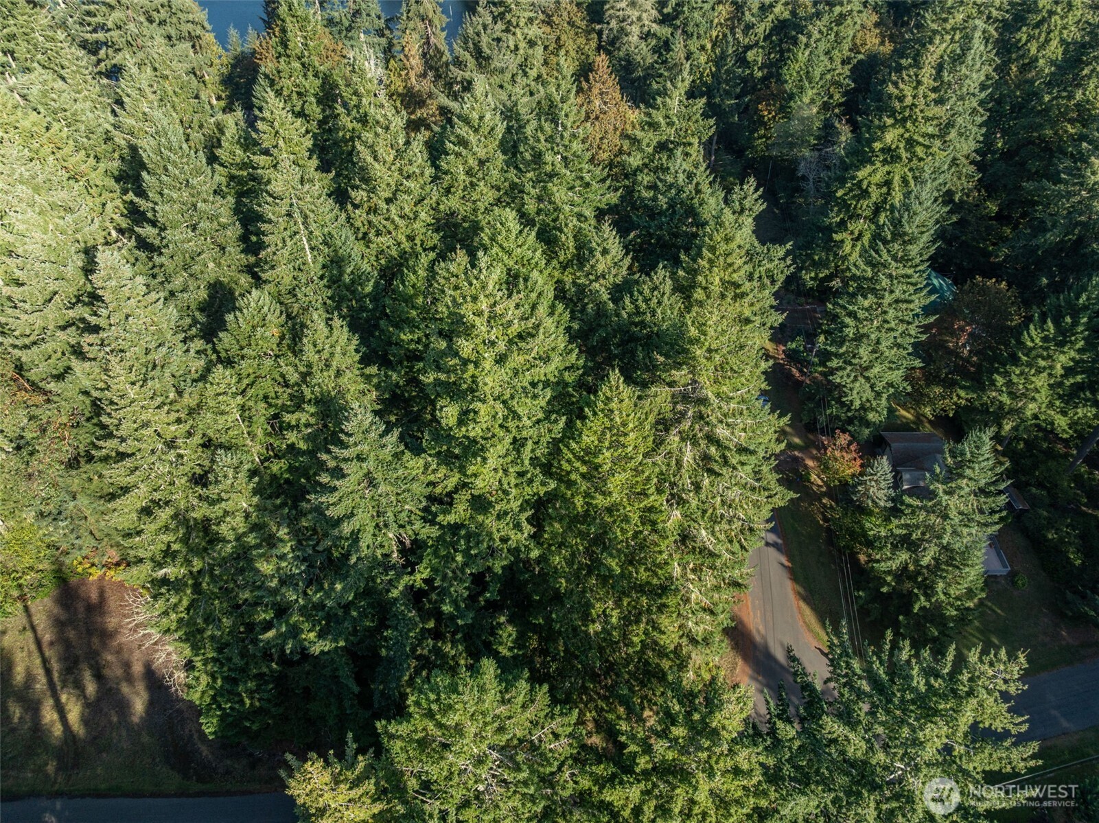 10102 104th Avenue , Anderson Island, WA 98303