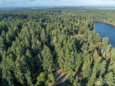 10102 104th Avenue , Anderson Island, WA 98303 - Photo 6