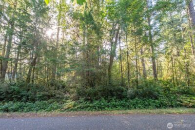 11316 Breaker Way , Anderson Island, WA 98303