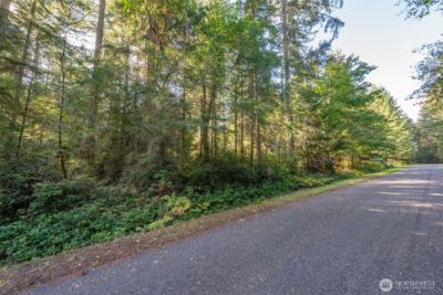 11316 Breaker Way , Anderson Island, WA 98303 - Photo 3