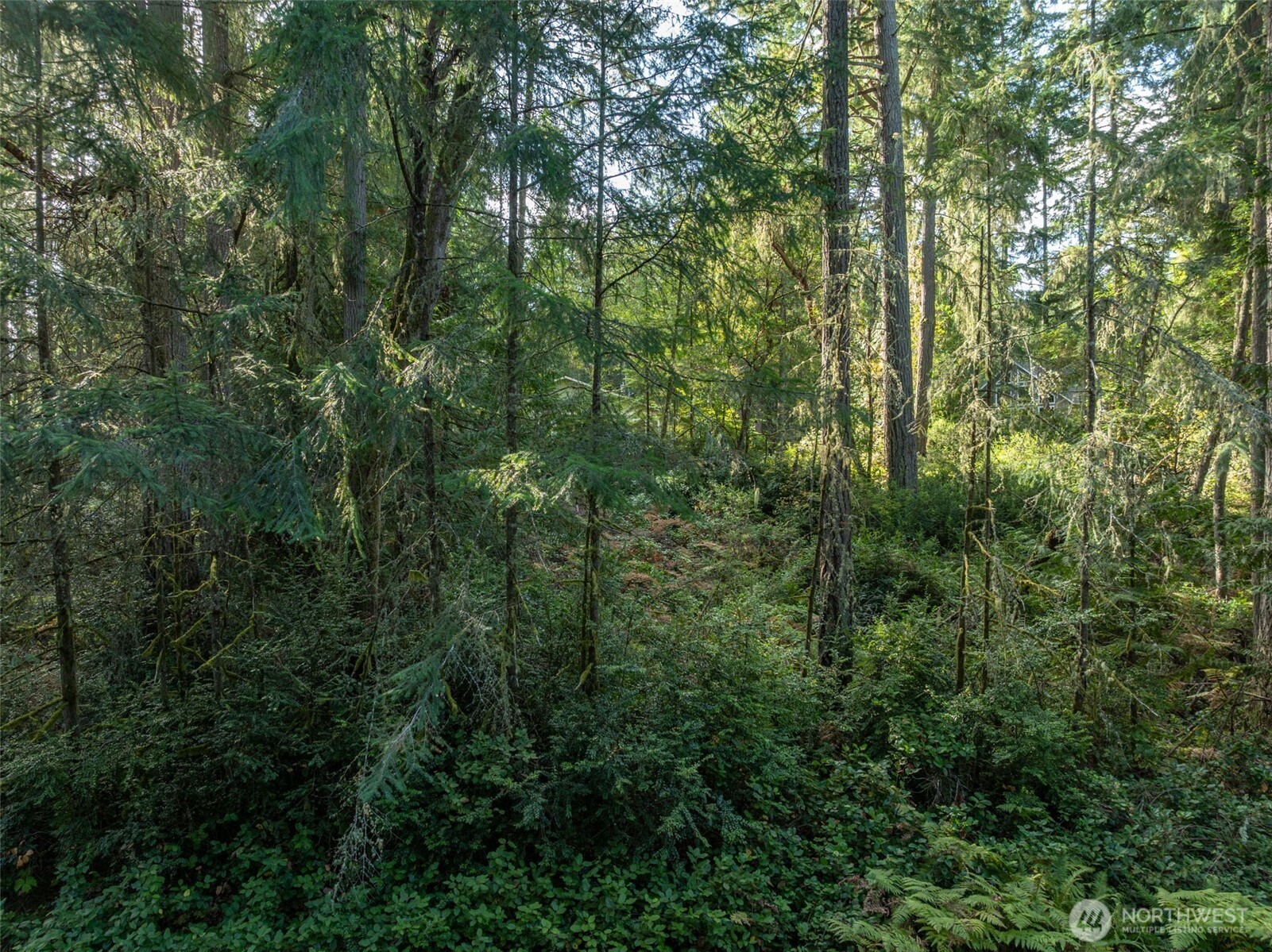 11316 Breaker Way , Anderson Island, WA 98303